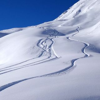 Freeride Experience